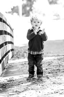 Schroeck 2017 family photos
