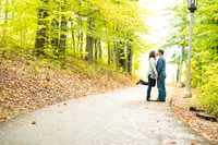 Tricia and Mark Engagement
