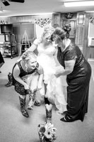 Dani & Brian's Wedding!