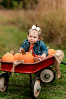 Norris Family Fall Minis