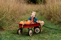 Norris Family Fall Minis