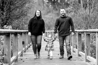Cook Family