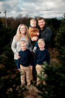 Snyder Family Tree Farm Mini
