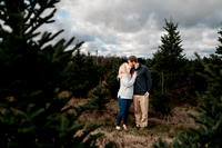 Snyder Family Tree Farm Mini
