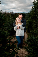 Snyder Family Tree Farm Mini