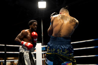 Bizzarro's Bayfront Brawl 14