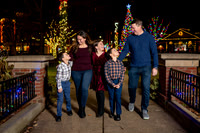 Marsh Christmas Tree Mini Session