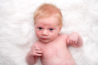 Maverick Newborn
