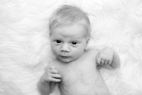 Maverick Newborn
