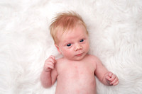 Maverick Newborn