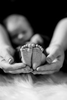 Maverick Newborn