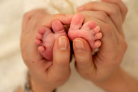 Anthony's Newborn session