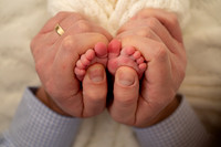Anthony's Newborn session