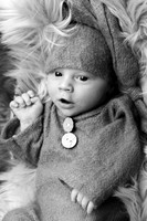 Maddox Newborn Session