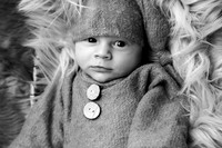 Maddox Newborn Session