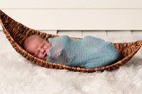 Maddox Newborn Session