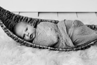 Maddox Newborn Session