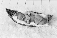 Maddox Newborn Session