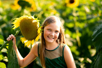 Boam's Sunflower Mini Session