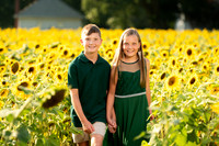 Boam's Sunflower Mini Session