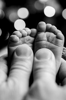 Enzo's Newborn session
