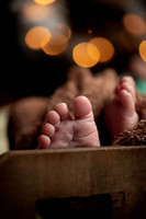Enzo's Newborn session