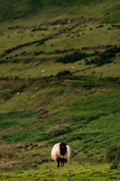 IRELAND