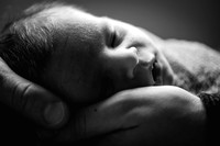 Enzo's Newborn session