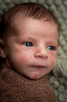 Enzo's Newborn session