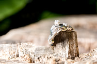 Ewell Engagement