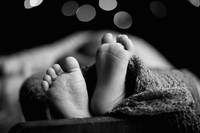 Enzo's Newborn session
