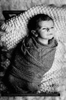 Enzo's Newborn session