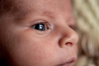 Enzo's Newborn session