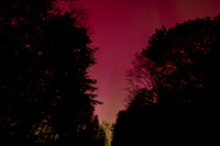 Northern Lights , Erie Pa 2024