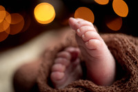 Enzo's Newborn session