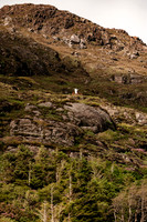 IRELAND