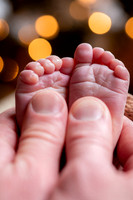 Enzo's Newborn session